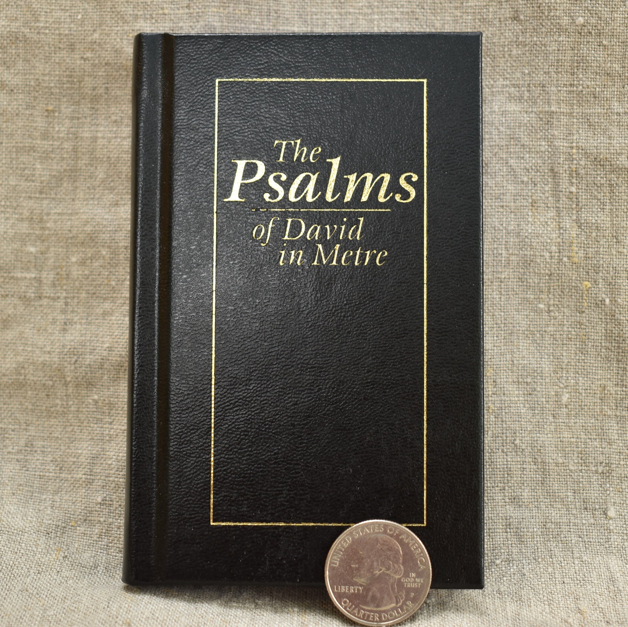 david bible psalms